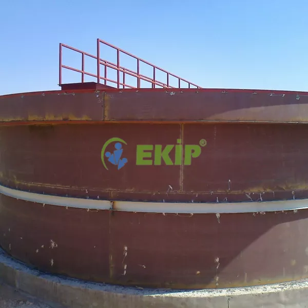 fotograf0257-abc264ce-cea3-4071-8ad4-4fa75dcd5183